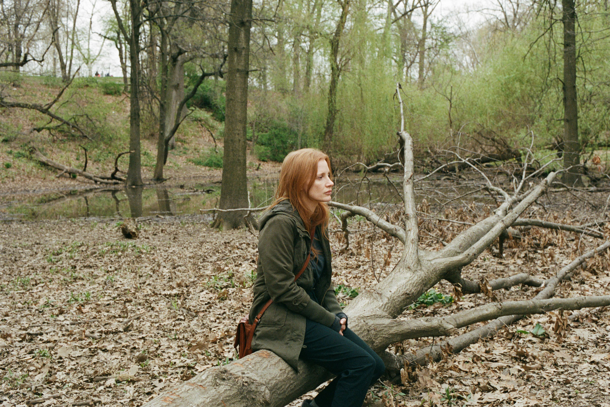 femme assise sur une branche d'arbre dans une forêt