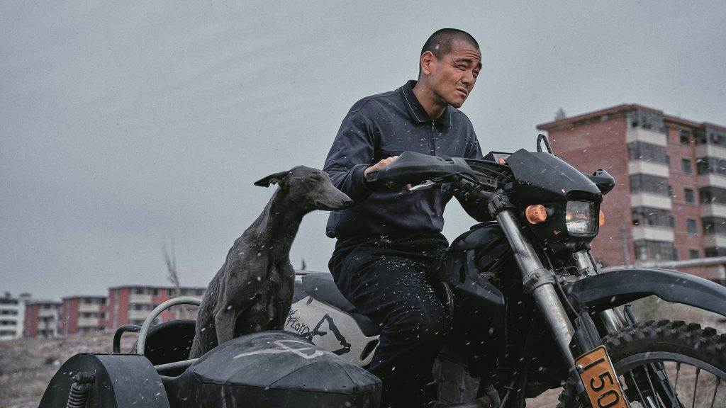 homme chinois et chien sur une moto