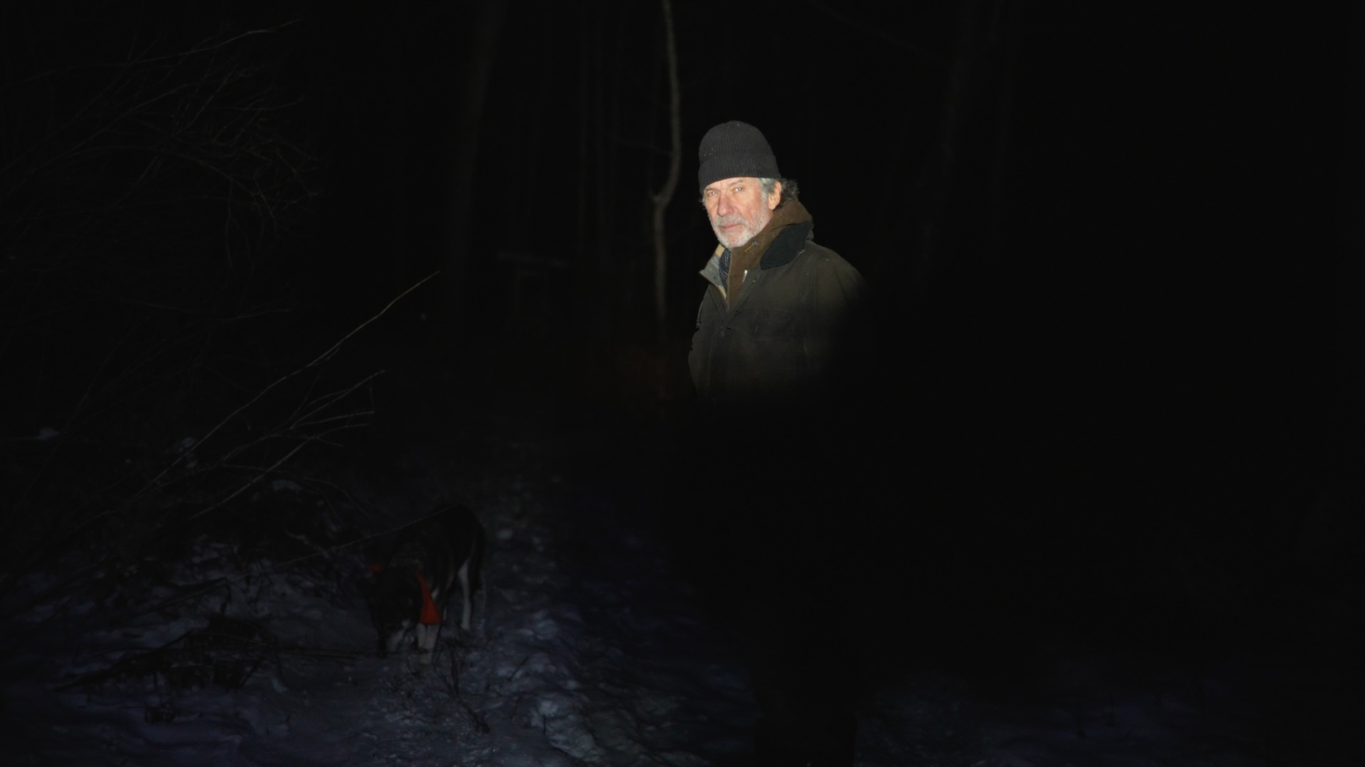 Robert Morin dans la forêt de nuit